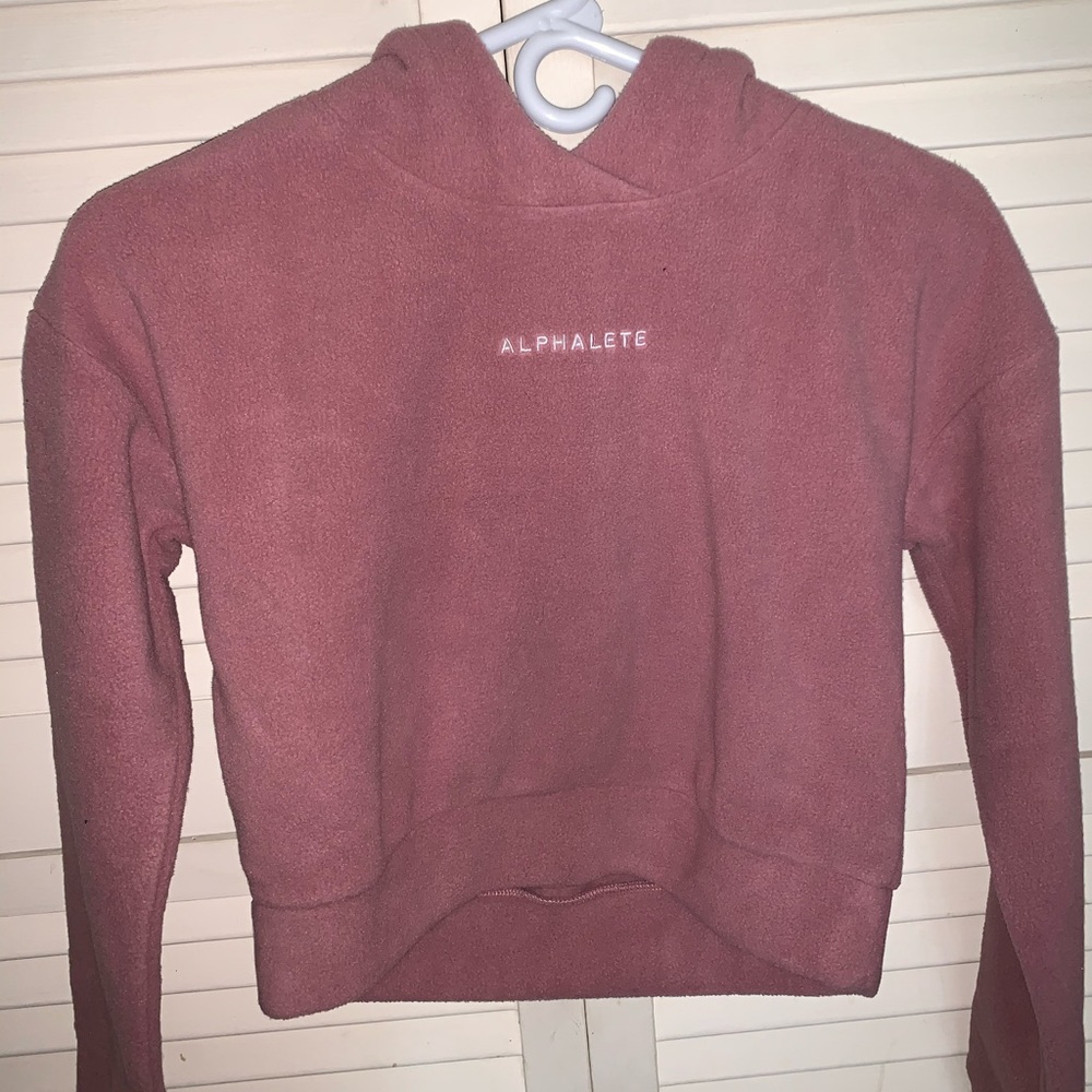 Mauve Alphalete crop hoodie